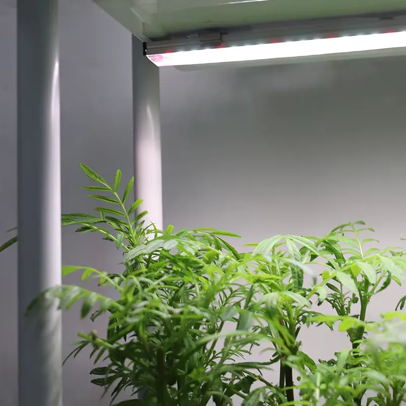 Self-Watering Planter - Sistema di Coltivazione Verticale Mobile a
