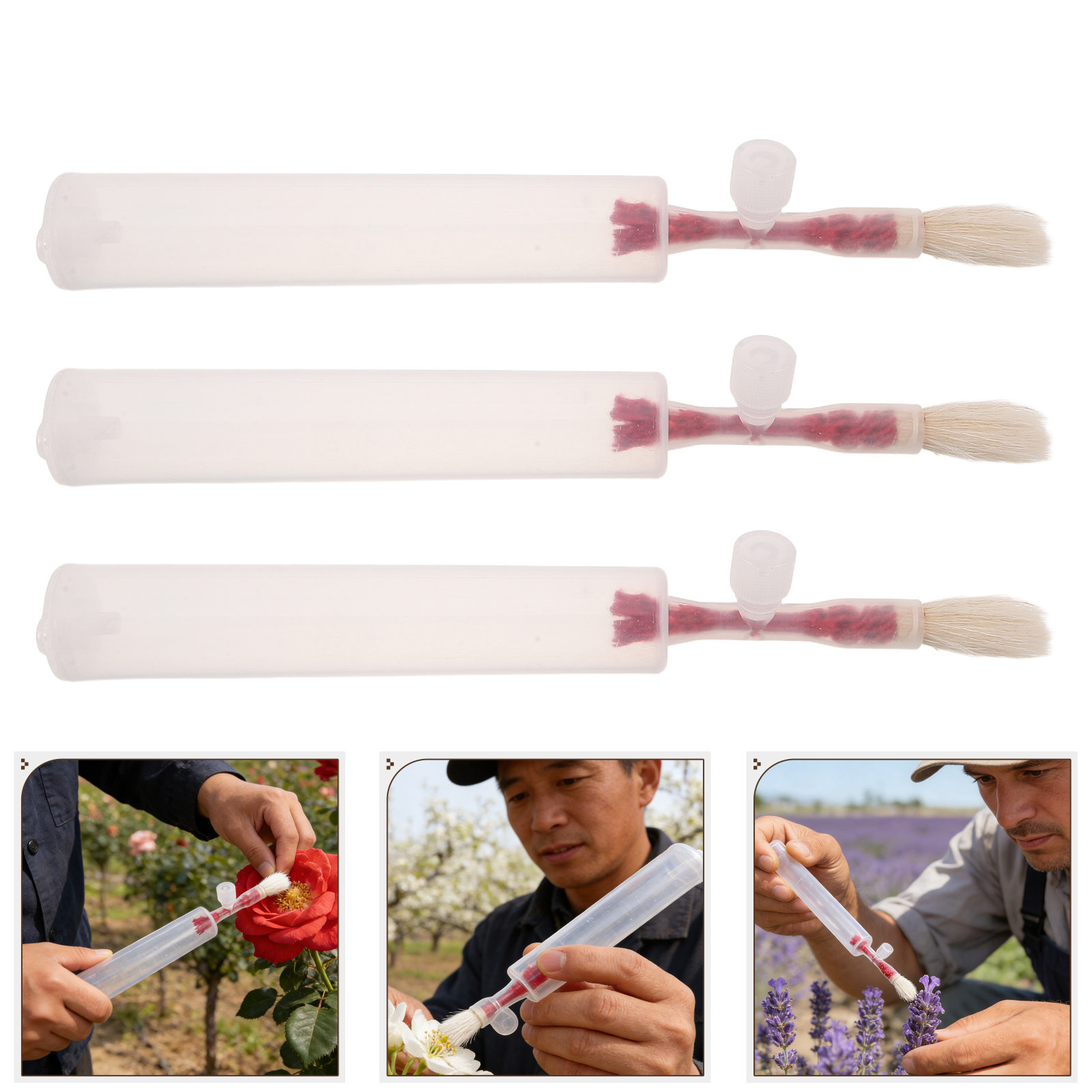 3 pezzi di bastoncini per l'in - Gardening Tools Vegetables recensione e prezzo
