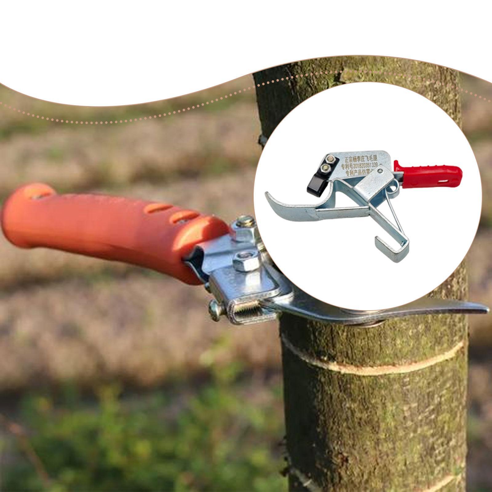 Attrezzo per Legatura Alberi d - Gardening Tools Essential recensione e prezzo