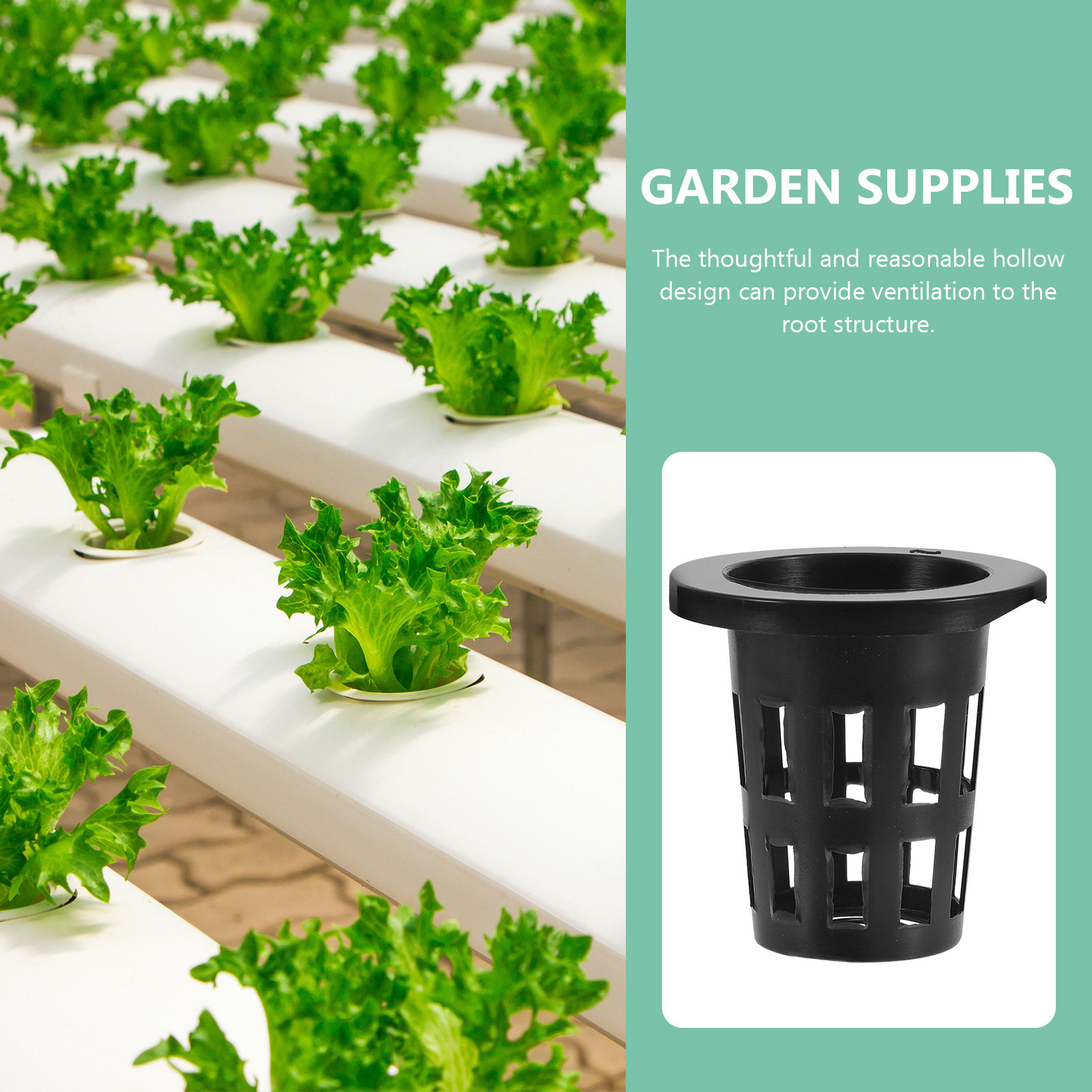 50 Pezzi Cestini in Plastica p - Gardening Tools Vegetables recensione e prezzo