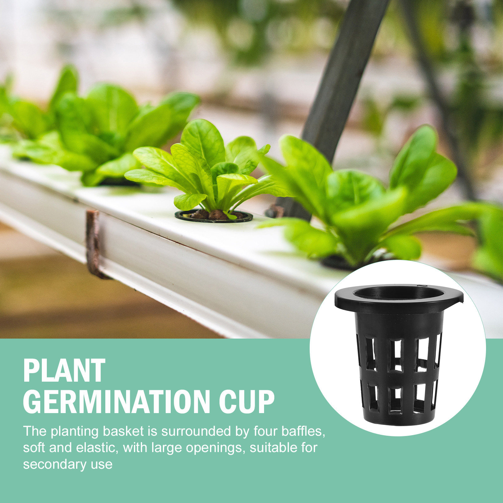 50 Pezzi Cestini in Plastica p - Gardening Tools Vegetables recensione e prezzo