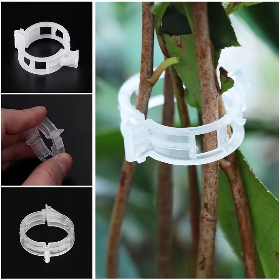 20 Clip di Supporto per Piante - Gardening Tools Vegetables recensione e prezzo