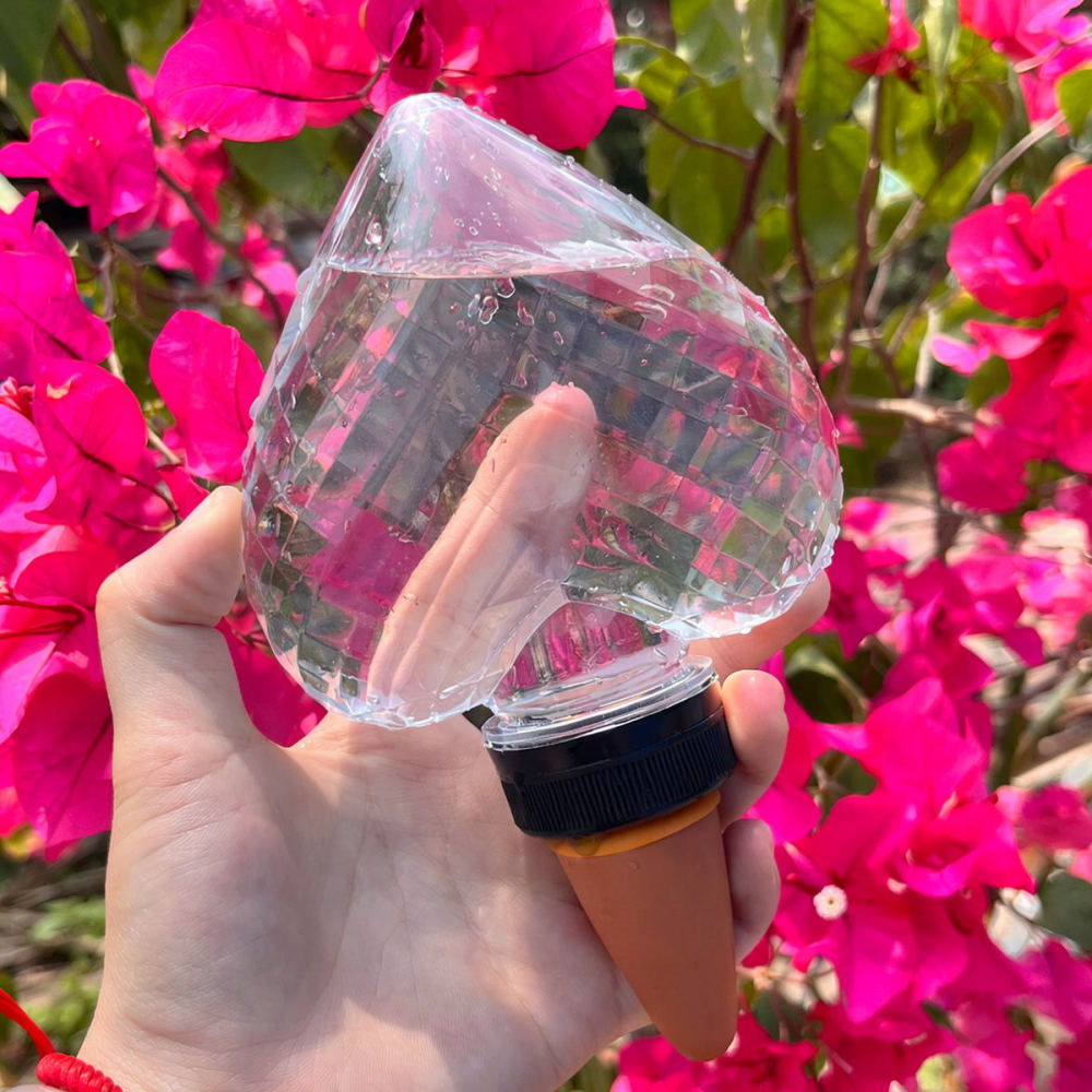 Dispositivo di irrigazione aut - Automatic Plant Waterer recensione e prezzo