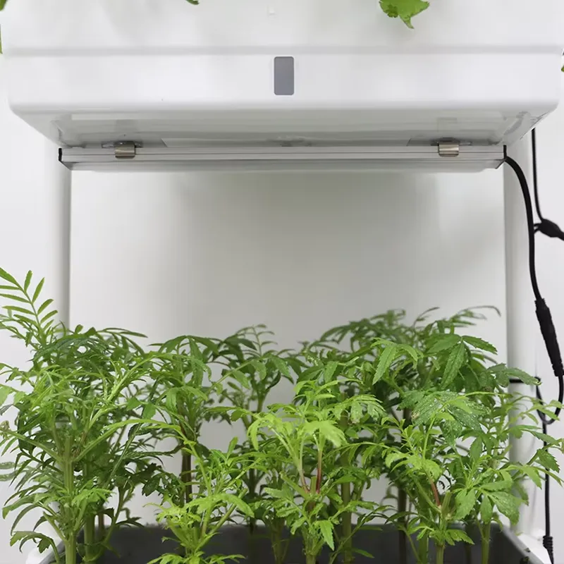 Sistema di Coltivazione Vertic - Self-Watering Planter recensione e prezzo