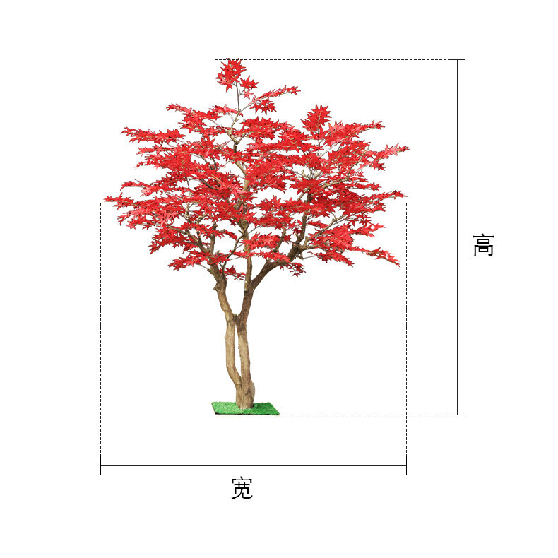 Albero di acero rosso da pavim - Gardening Hand Tools Japanese recensione e prezzo
