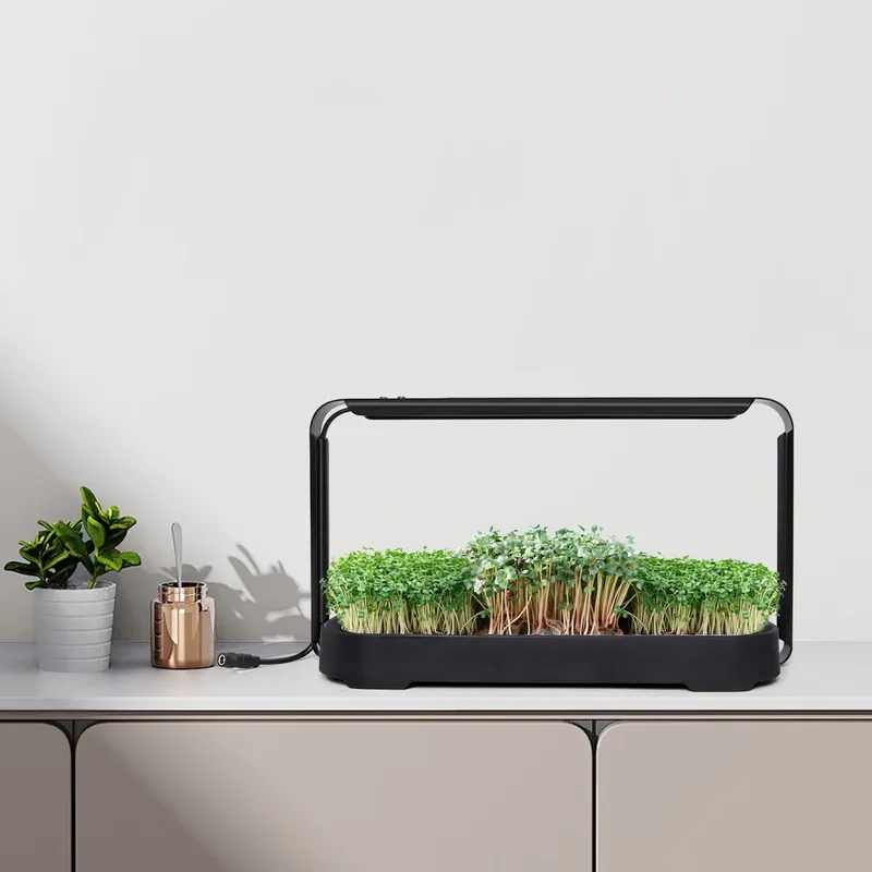 Sistema di coltivazione idropo - Self-Watering Planter recensione e prezzo