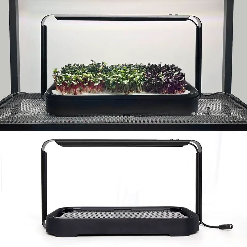 Sistema di coltivazione idropo - Self-Watering Planter recensione e prezzo