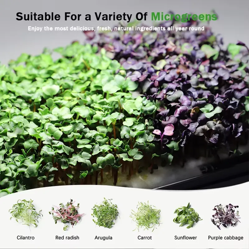 Sistema di coltivazione idropo - Self-Watering Planter recensione e prezzo