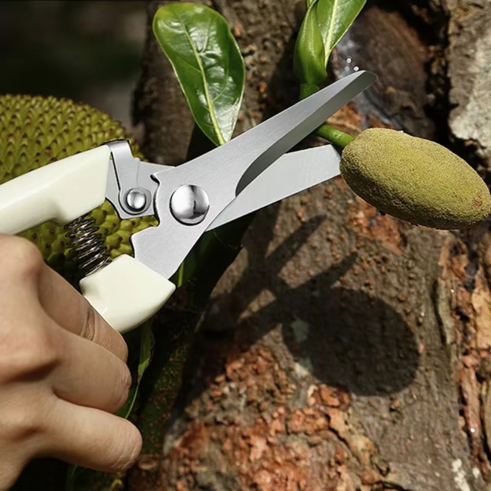 Coltello da Potatura Professio - Gardening Tools Essential recensione e prezzo