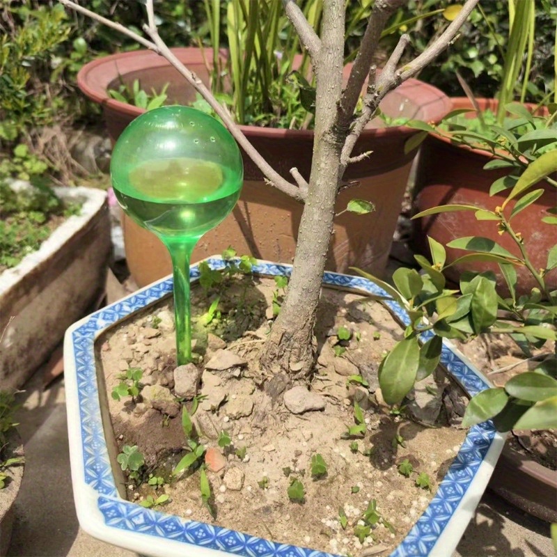 Set di 6 Palline Autoirriganti - Automatic Plant Waterer recensione e prezzo