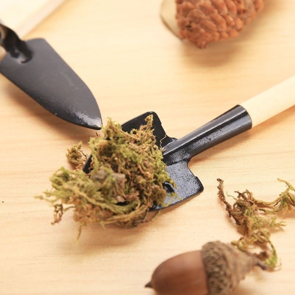 Set di Attrezzi da Giardinaggi - Spade Digging Fork recensione e prezzo