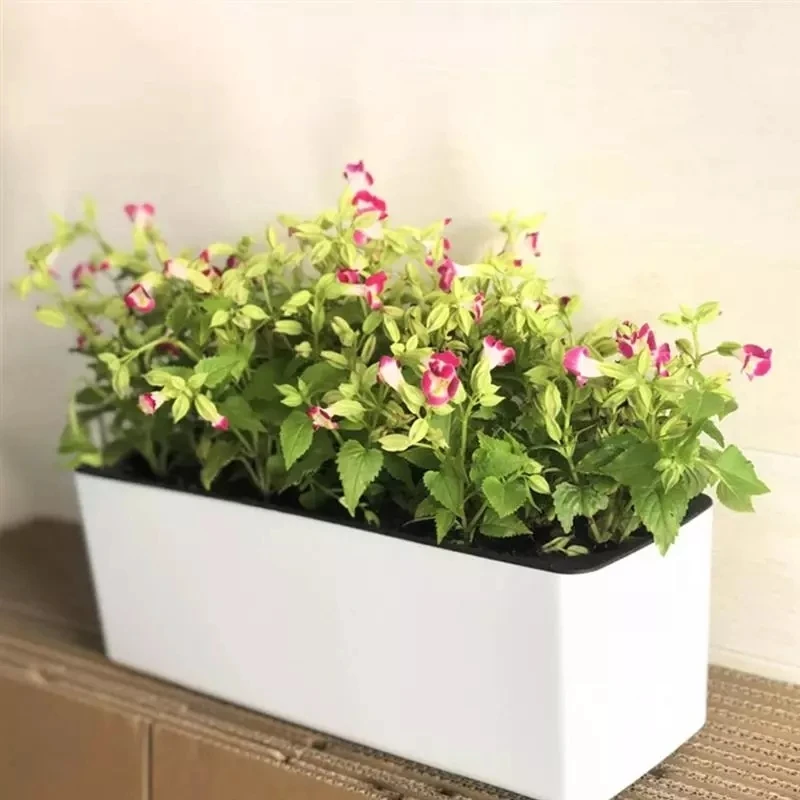Vaso da fiori pigro rettangola - Automatic Plant Waterer recensione e prezzo
