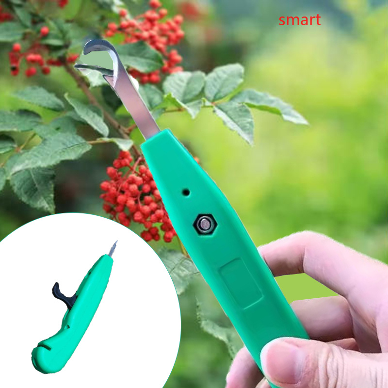 Raccoglitore Professionale di  - Gardening Tools Vegetables recensione e prezzo