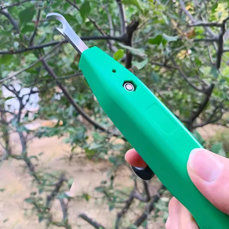 Raccoglitore Professionale di  - Gardening Tools Vegetables recensione e prezzo