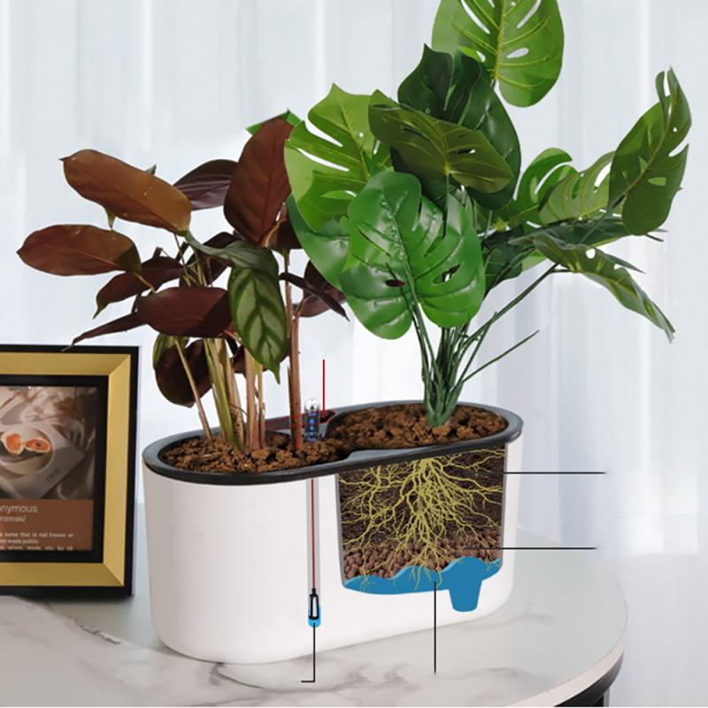 Pianta da interno con indicato - Automatic Plant Waterer recensione e prezzo