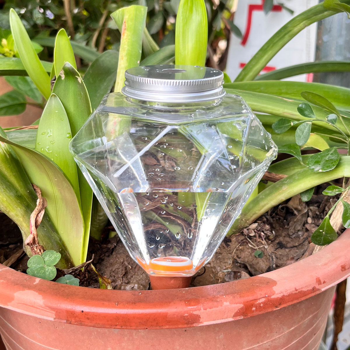 1 pz. Simpatico irrigatore aut - Automatic Plant Waterer recensione e prezzo
