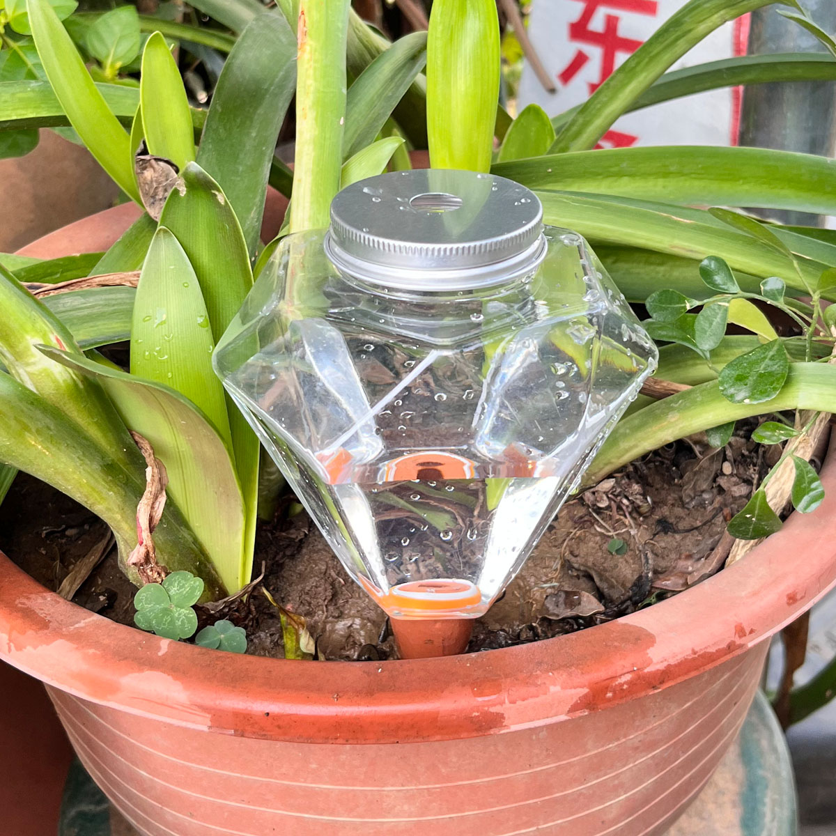 1 pz. Simpatico irrigatore aut - Automatic Plant Waterer recensione e prezzo